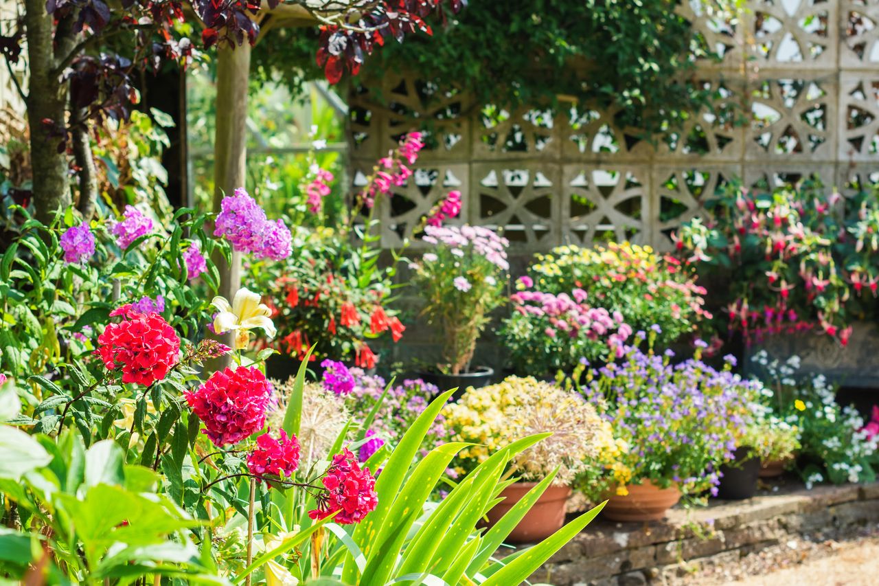 A garden full of vibrant plants 