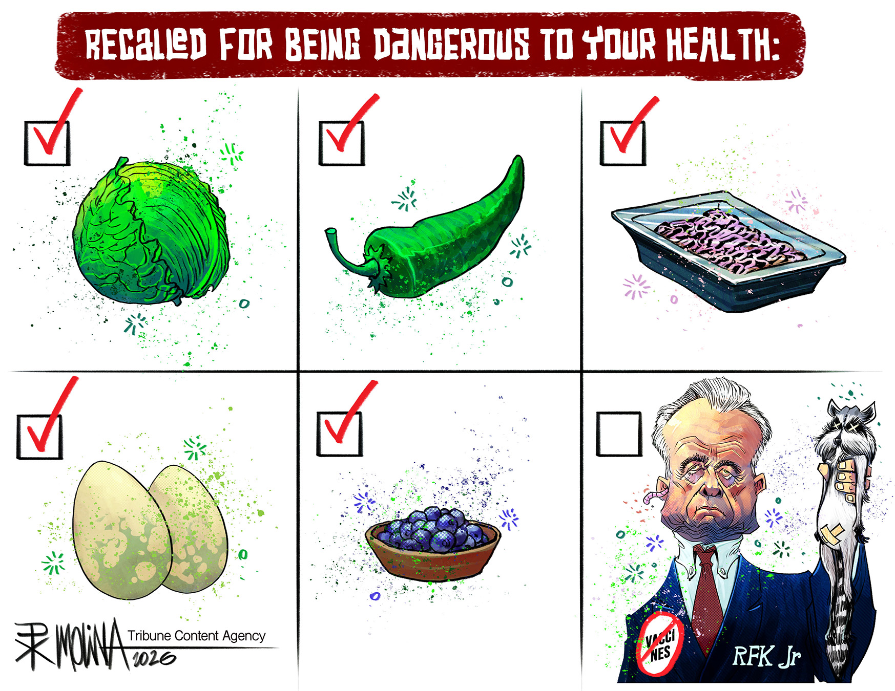 Political Cartoon