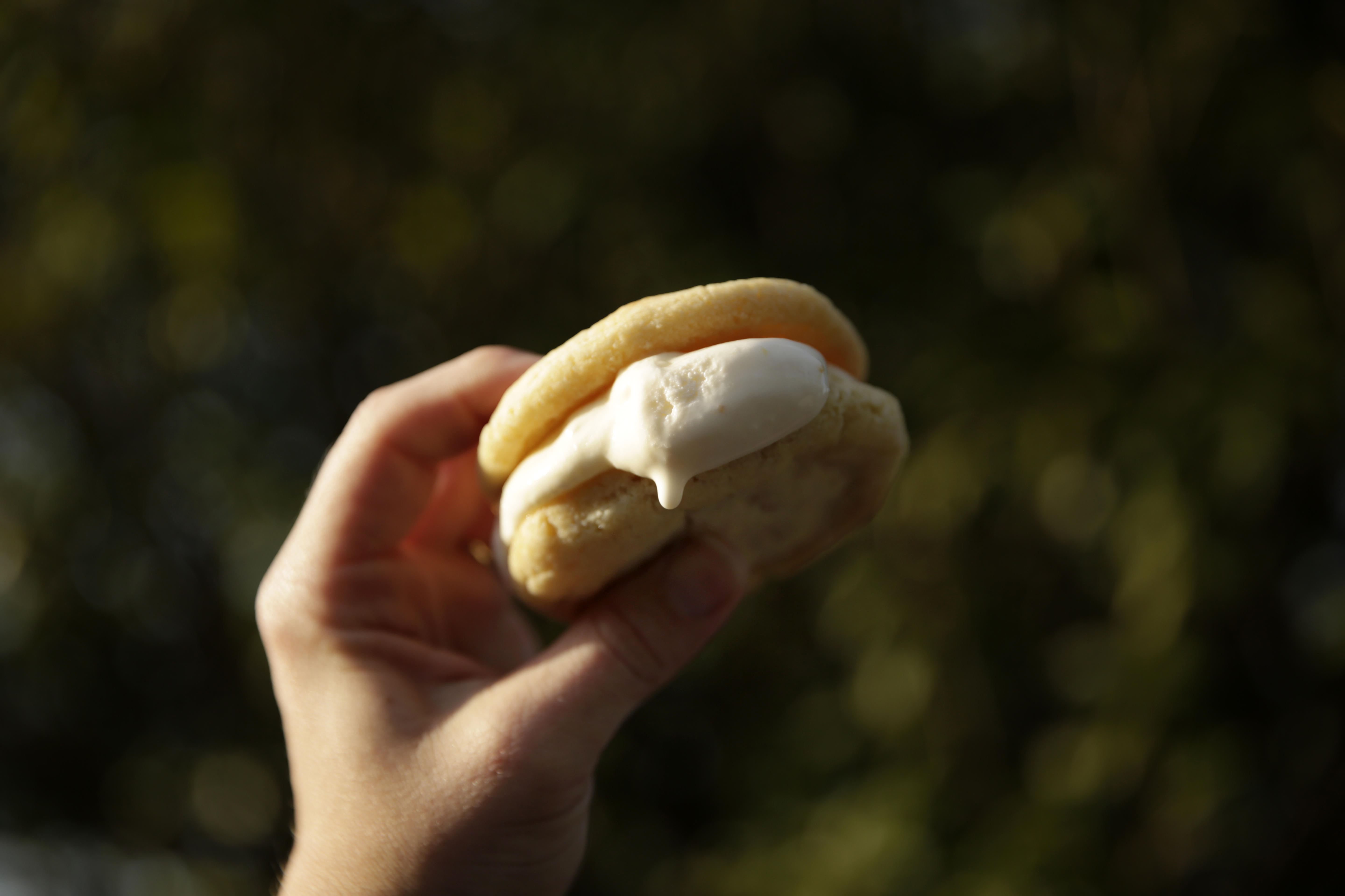 A Georgia peach ice cream sandwich in-hand