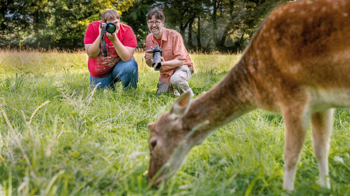 Best wildlife photography cameras 2022