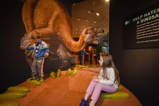 amnh, dinosaurs among us, american museum of natural history