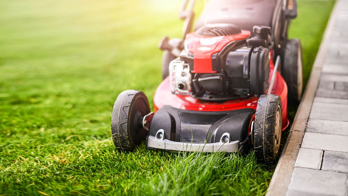 7-signs-that-you-re-cutting-your-grass-too-short
