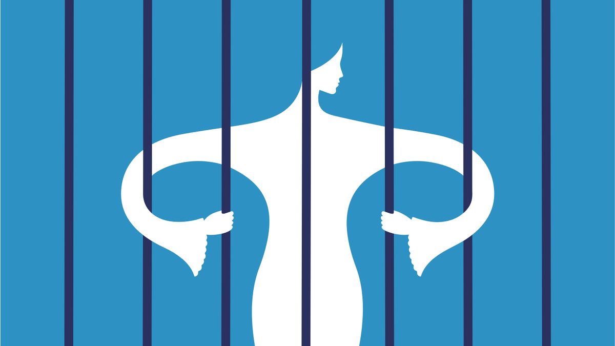 a silouhette of a woman behind bars in the shape of the female reproductive system