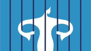 a silouhette of a woman behind bars in the shape of the female reproductive system