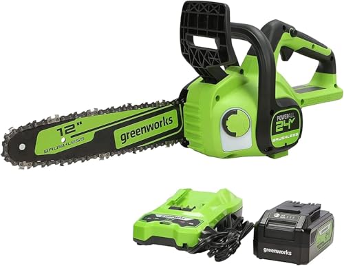 Greenworks 24v 12