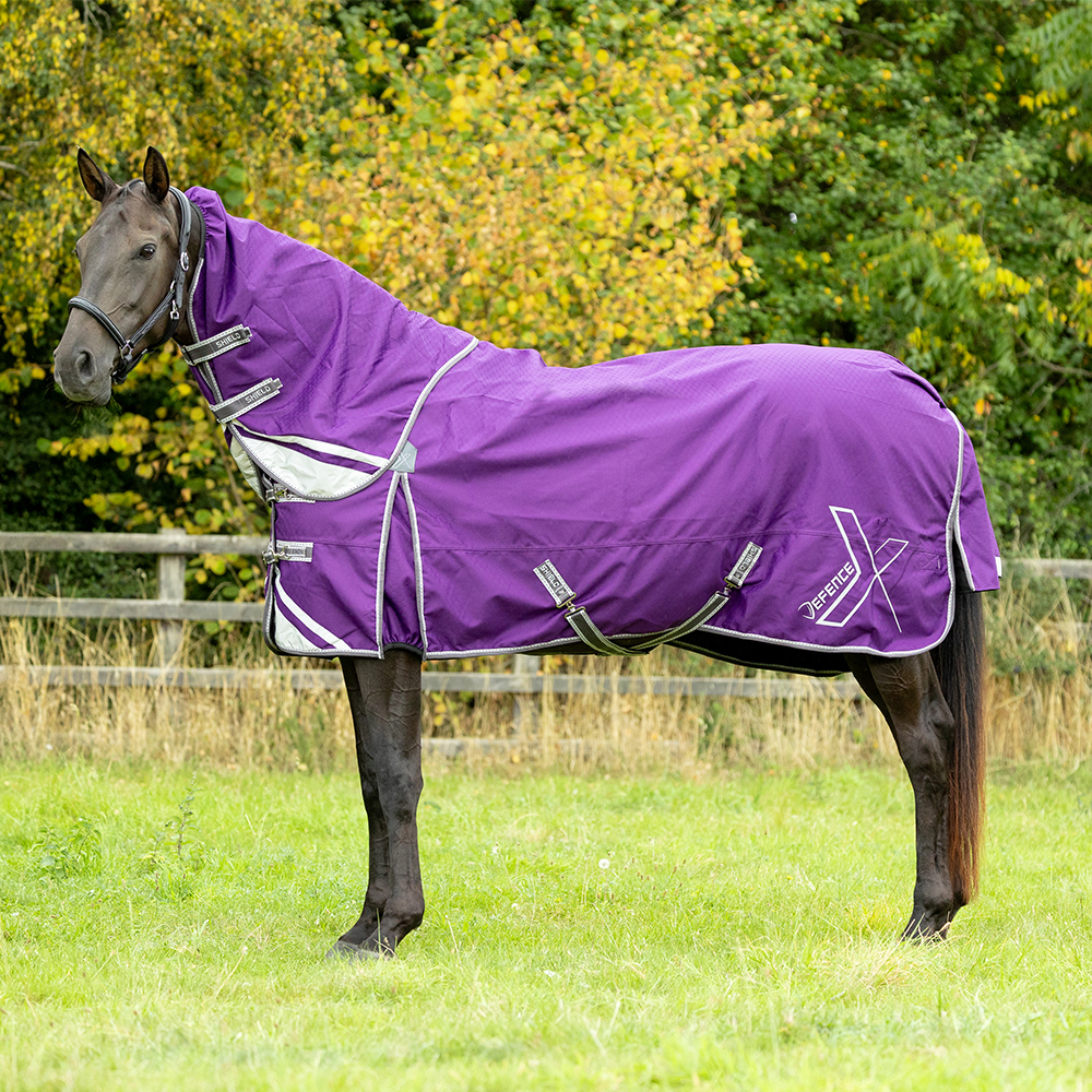 Horse in field wearing a purple DefenceX Shield 0g Turnout Rug
