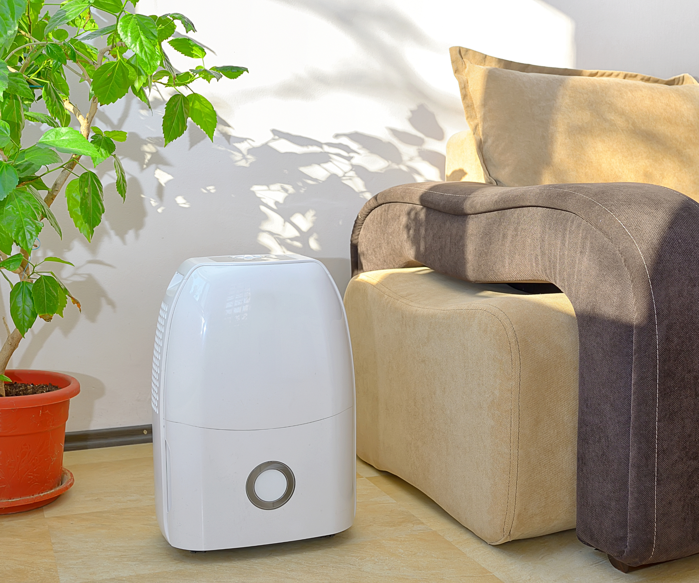 Portable dehumidifier next to a plant and couch