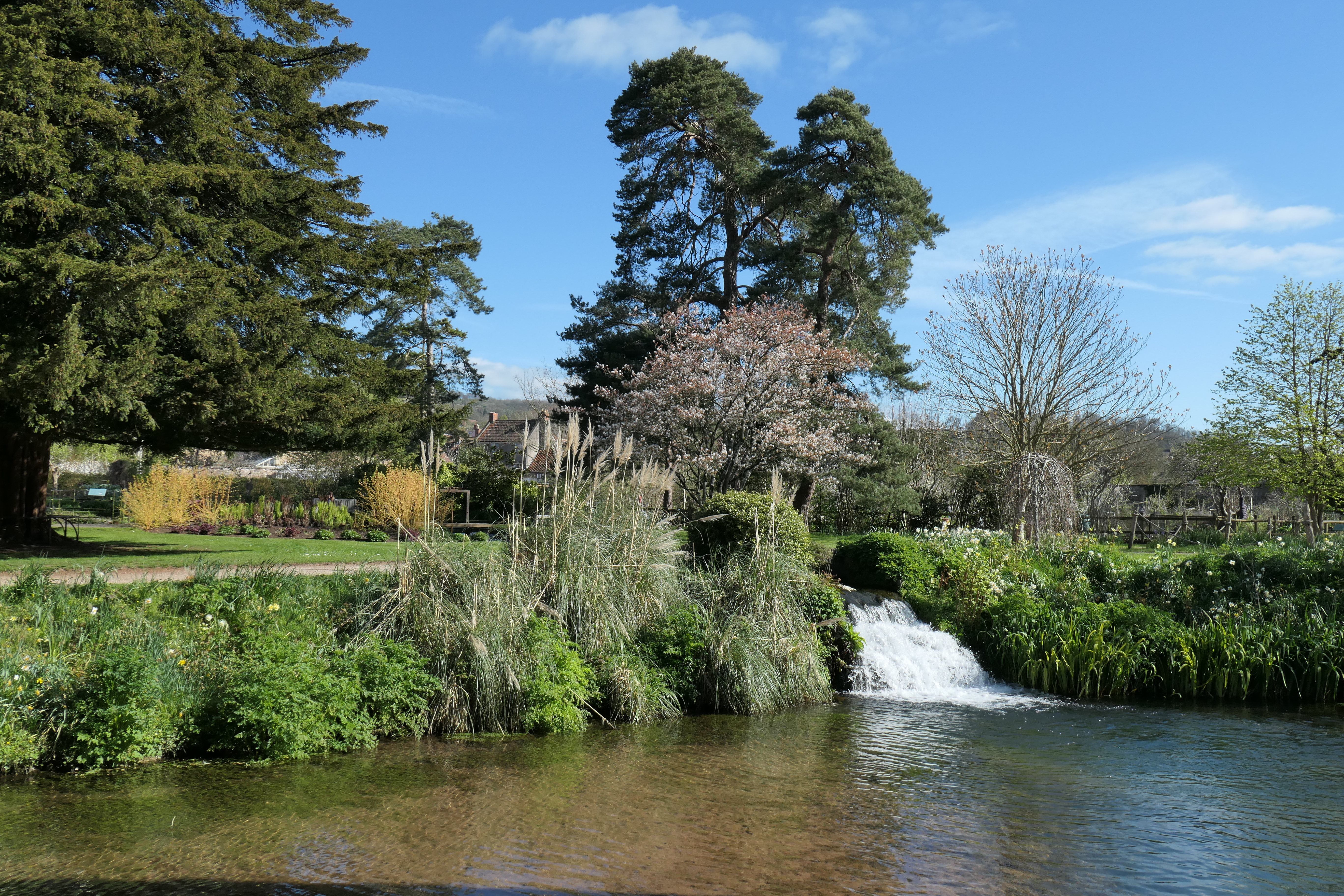 Panasonic Lumix ZS300 / TZ300 sample image