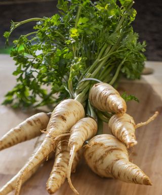 Parsley root on a wooden chopping board