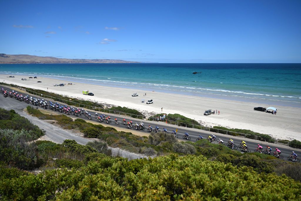 VICTOR HARBOR AUSTRALIA JANUARY 24 A general view of the peloton competing during the 25th Santos Tour Down Under 2025 Stage 4 a 1572km stage from Glenelg to Victor Harbor UCIWT on January 24 2025 in Victor Harbor Australia Photo by Dario BelingheriGetty Images