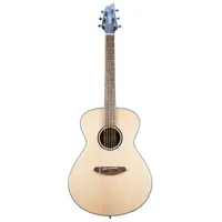 Breedlove ECO Discovery S Concert: $449 $349

&nbsp;