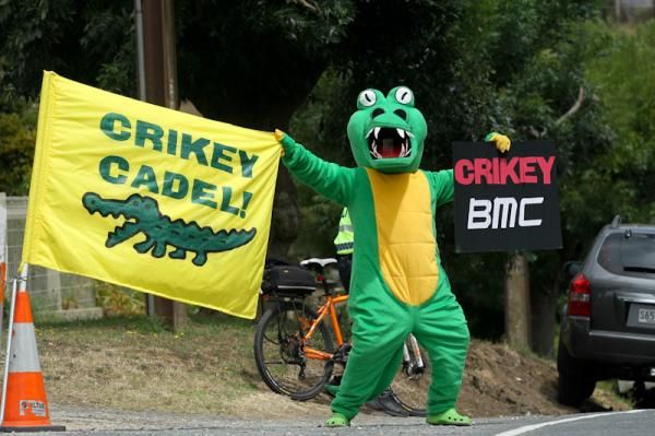 Crikey Cadel was out on the prowl