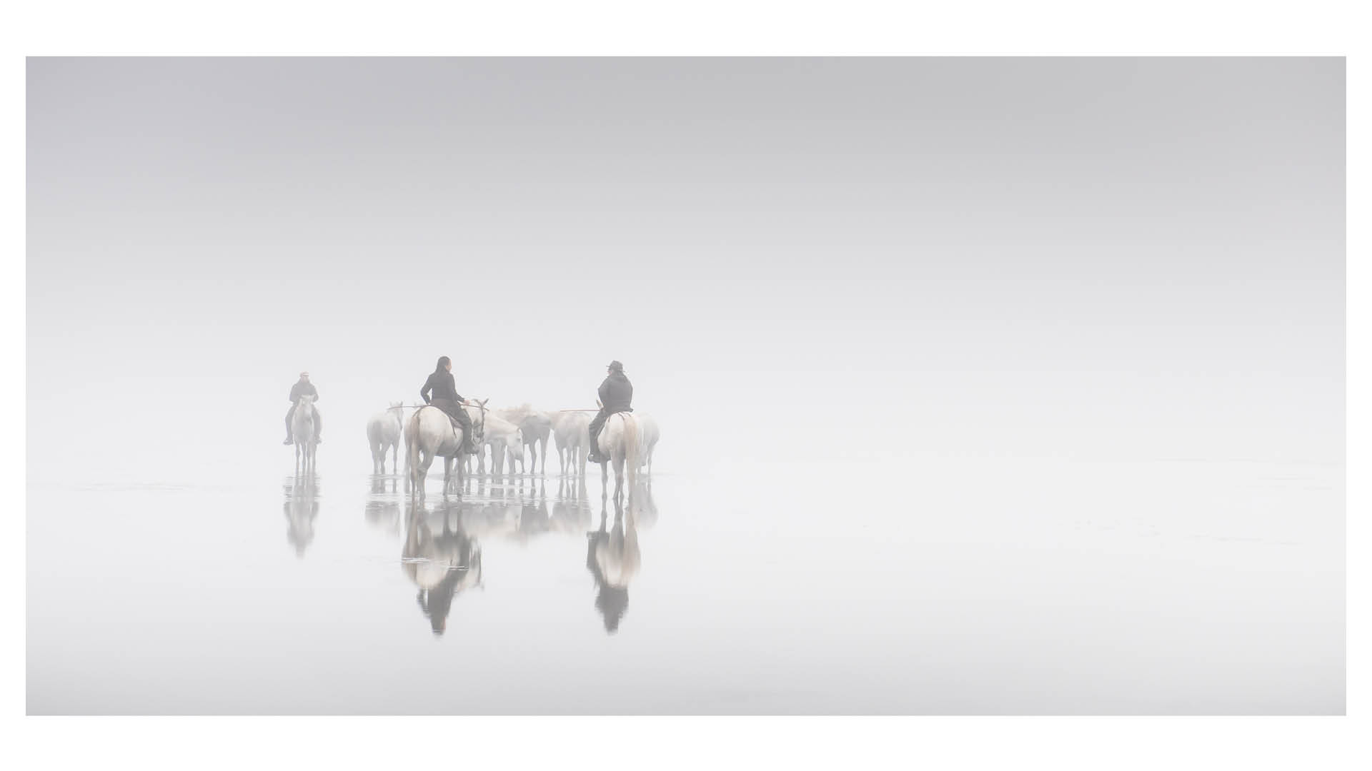 Photograph of horses in heavy mist in the Camargue region of France, by equine photographer Carys Jones, and titled 'Reflections of the Camargue'. Carys will be a speaker at The Photography &amp;amp; Video Show 2026