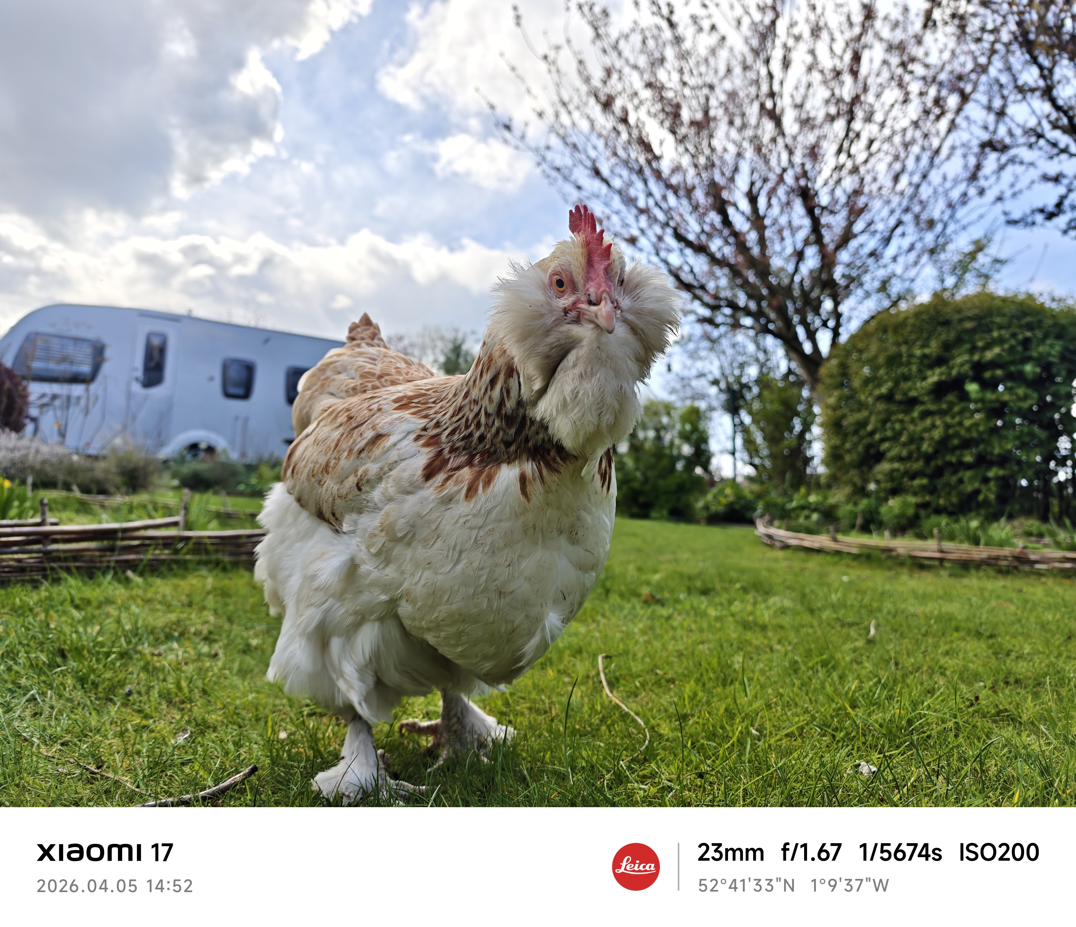 Xiaomi 17 sample photo