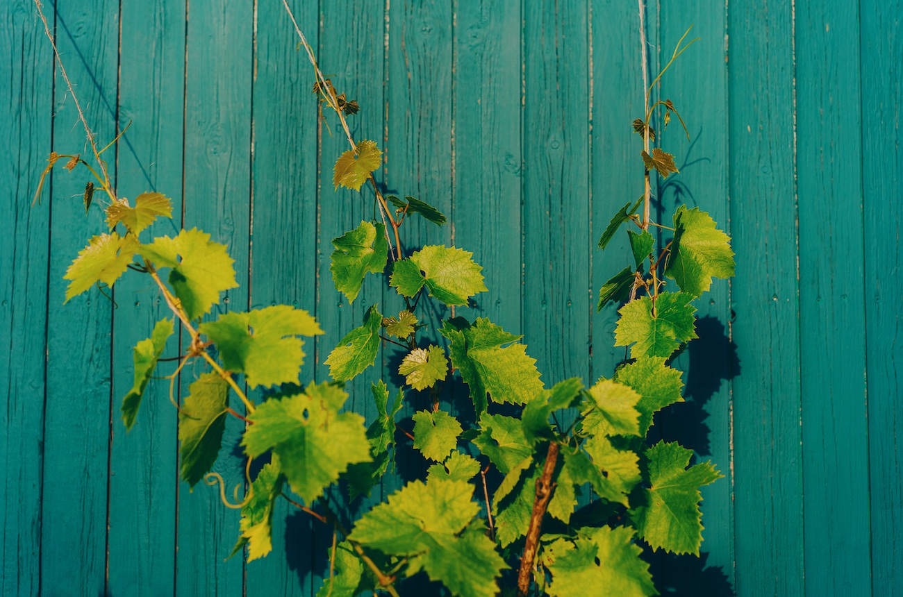 Rest of the World 2025