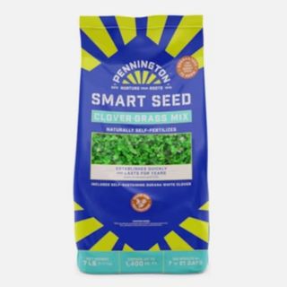 lowes clover seed