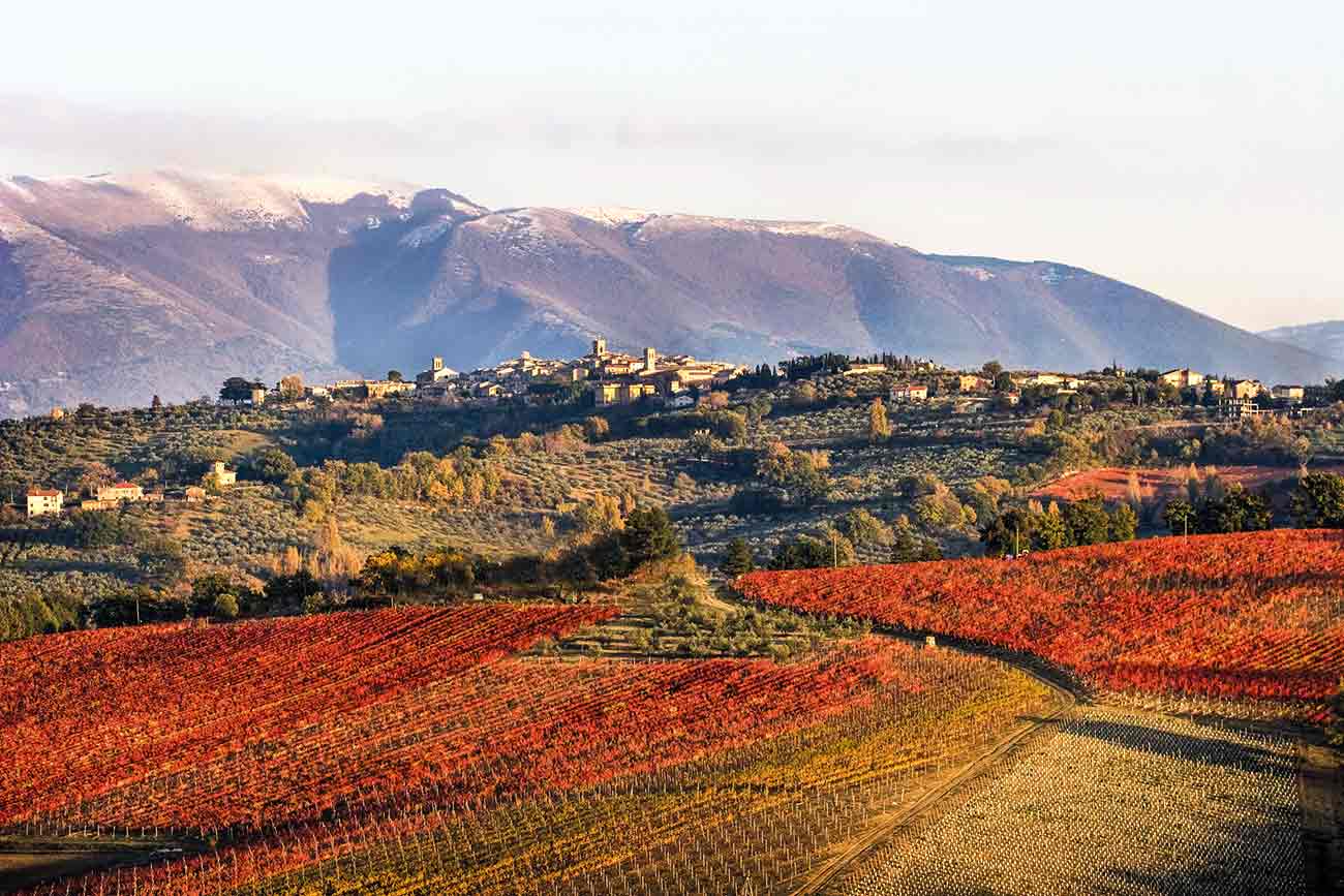 Montefalco.paesaggio_montefalco.jpg