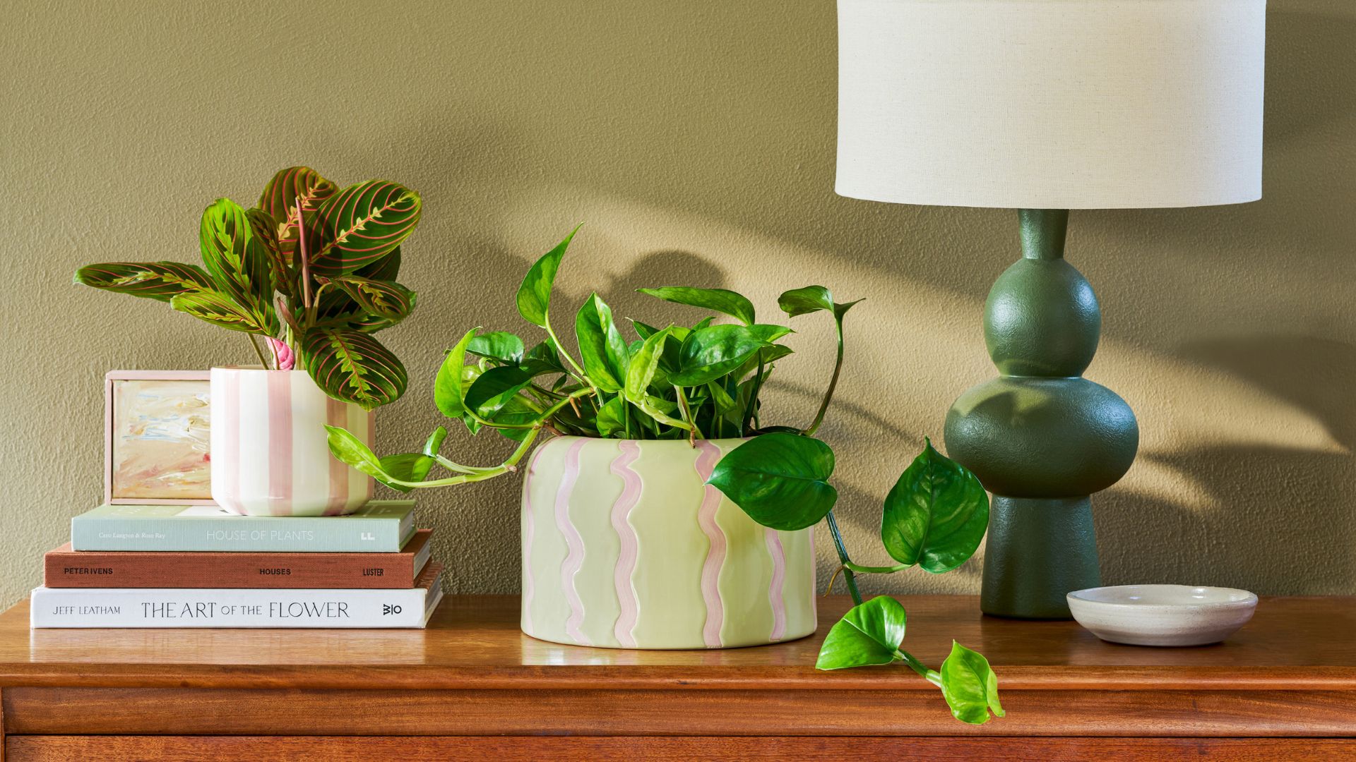 A wood sideboard with potted pothos and calathea beside a table lamp and a stack of books