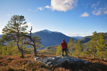 Telemark mountain landscape October 2020 in Norway View on popular mount Skorve Painted so many times by famous artists