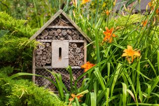 small bee hotel in a garden