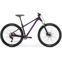 Merida Big Trail 400: £1,200