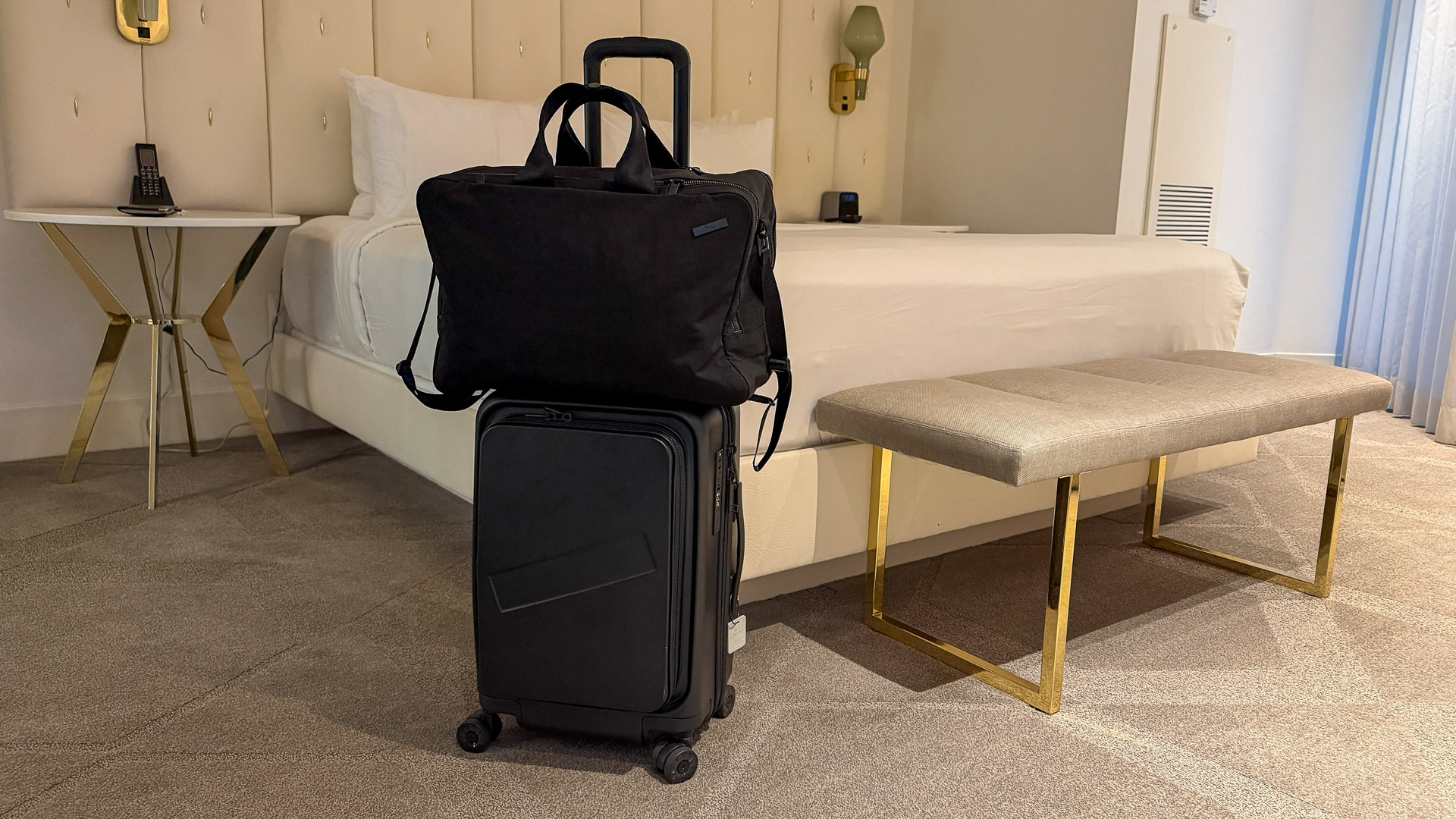 Emigre carry-on and boston bag