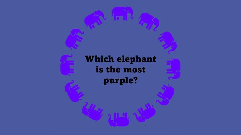 Purple elephant optical illusion