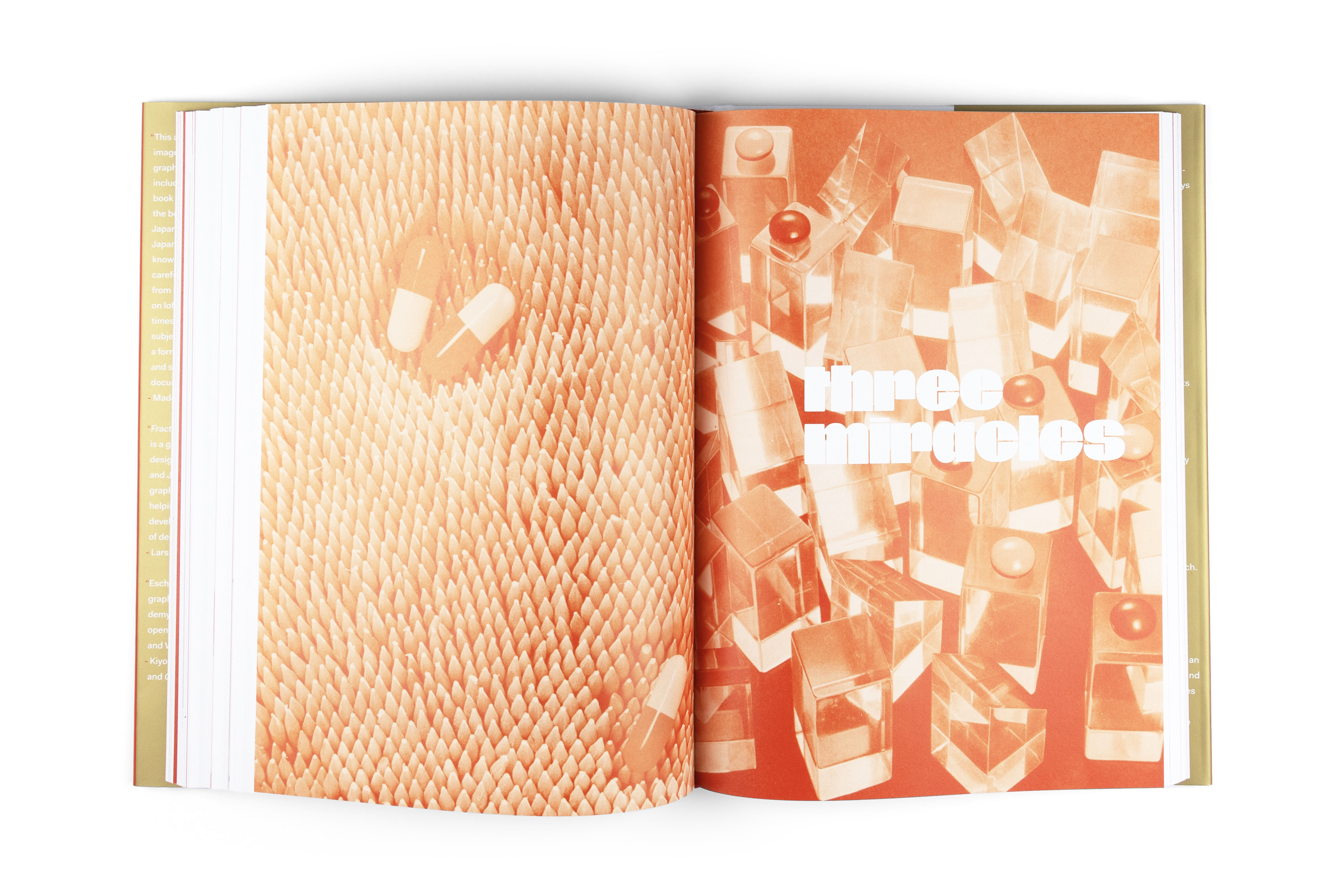 book about Japanese graphic design spreads