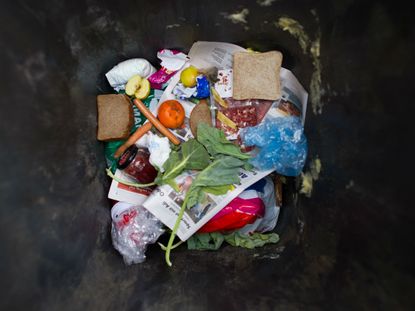 Food Waste