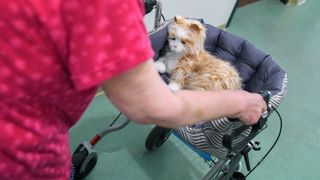 Elderly lady pushes a robotic pet cat along on her frame