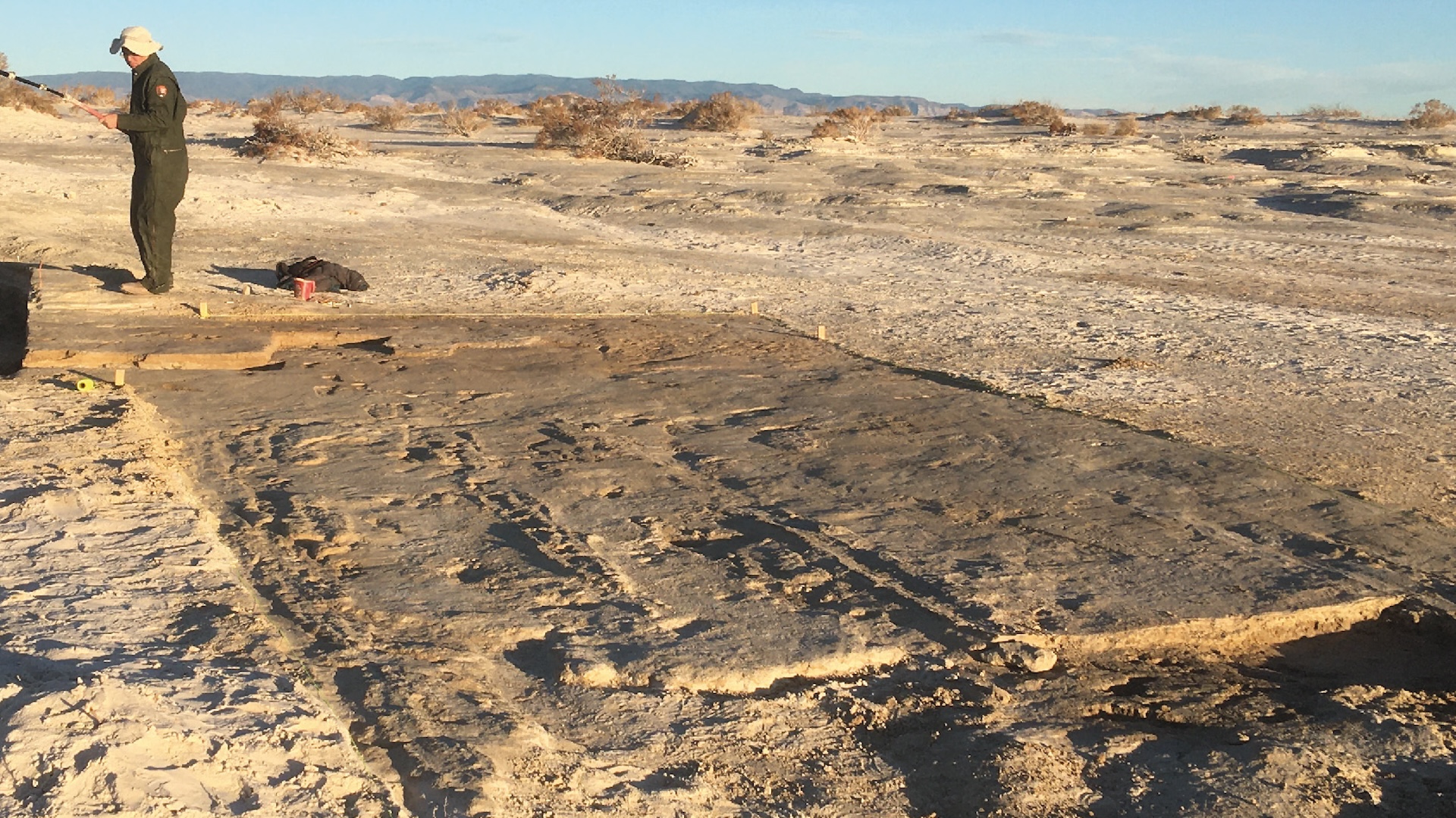 A photo of tracks in the dirt