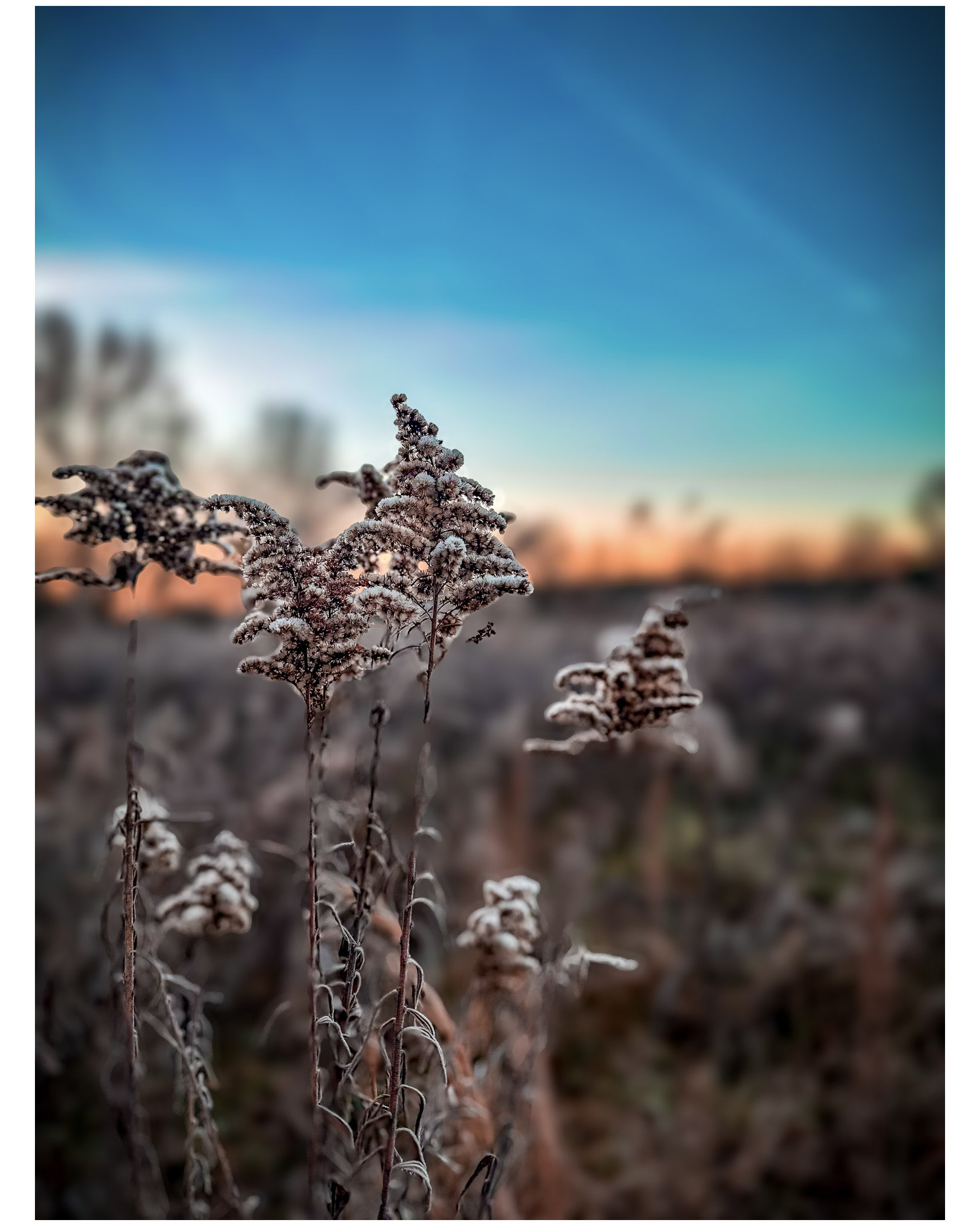 GuruShots - Nature&rsquo;s Masterpiece 2026