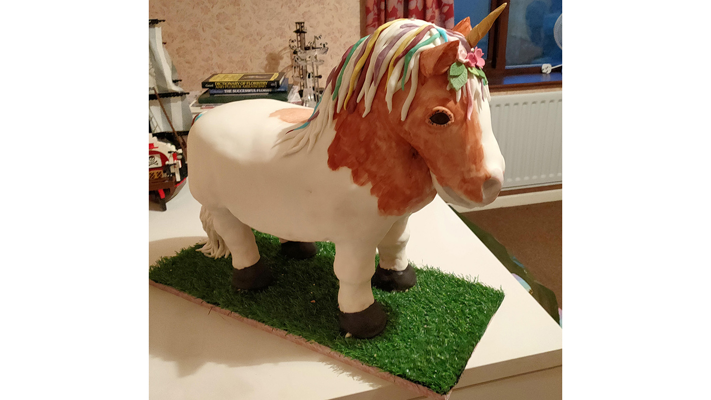 &amp;ldquo;This is a cake that I made for my daughter Mia of her pony Ringo&amp;rdquo; &amp;ndash; Laura Wilson