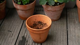 picture of small terracotta pot with soil inside it