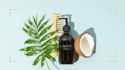 A flatlay of a palm leaf, a comb, a bottle of coconut oil and half a coconut, to illustrate our research into coconut oil for hair