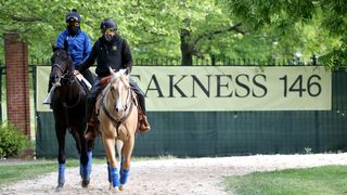 Exercise rider Humberto Gomez takes Kentucky Derby winner and Preakness entrant Medina Spirit back to the barn following a training session for the upcoming Preakness Stakes at Pimlico Race Course.