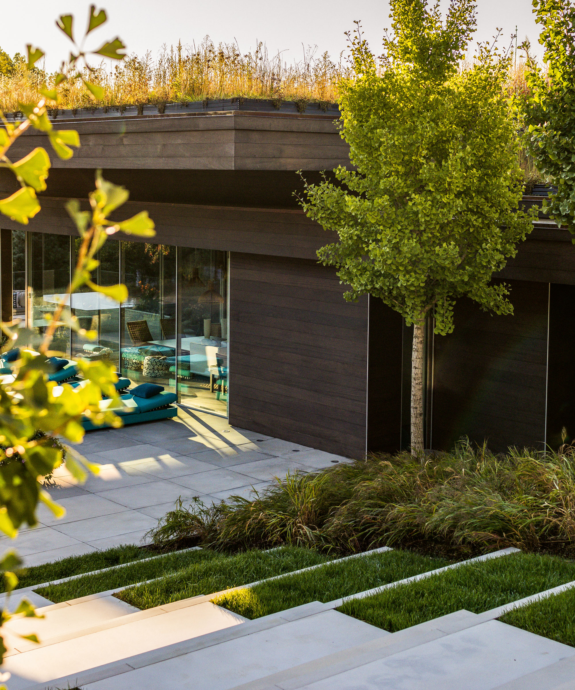 living roof in small backyard