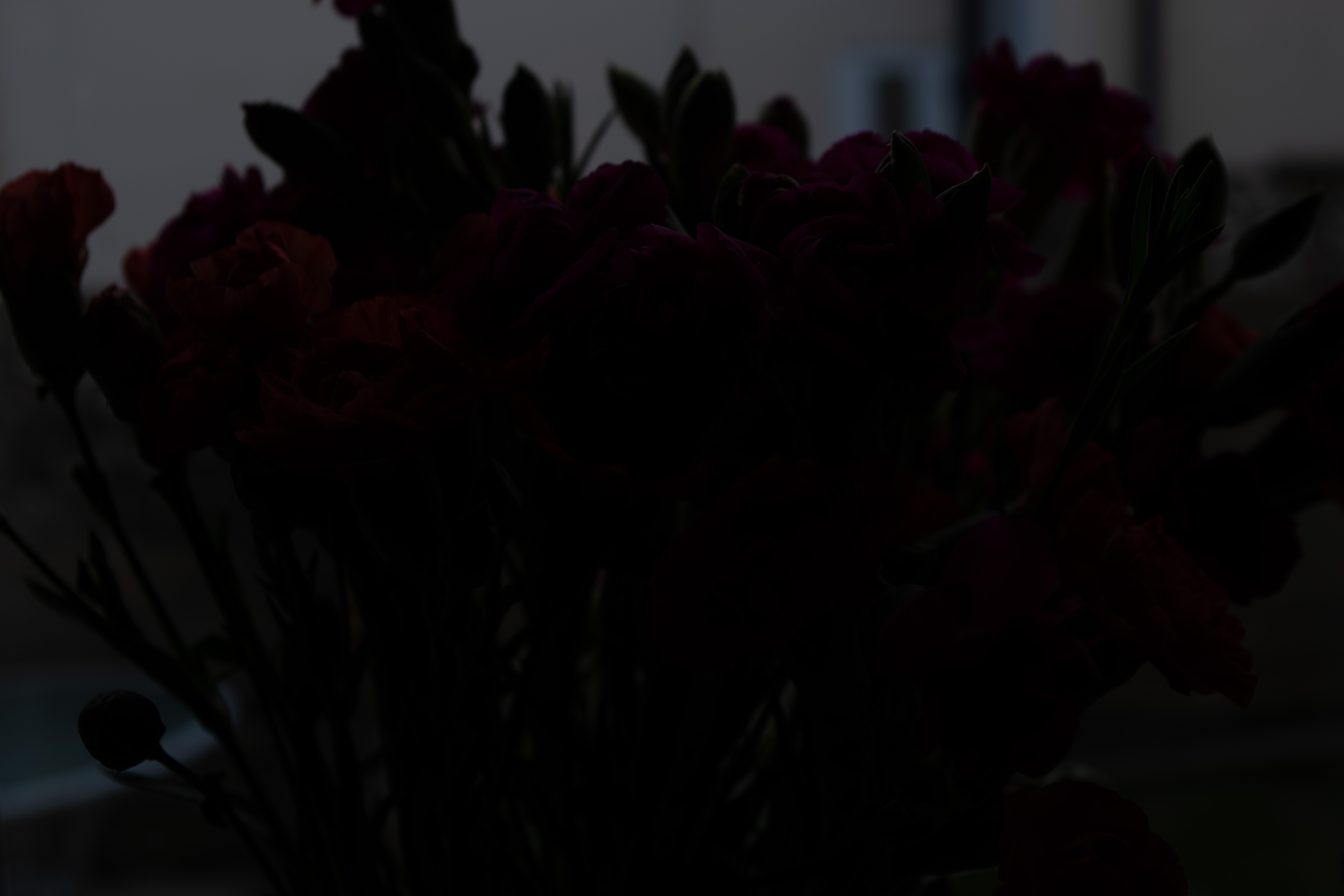 Dynamic range testing with flowers on Pentax KF