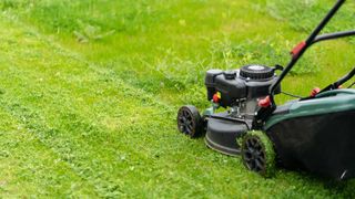 lawn mower on grass