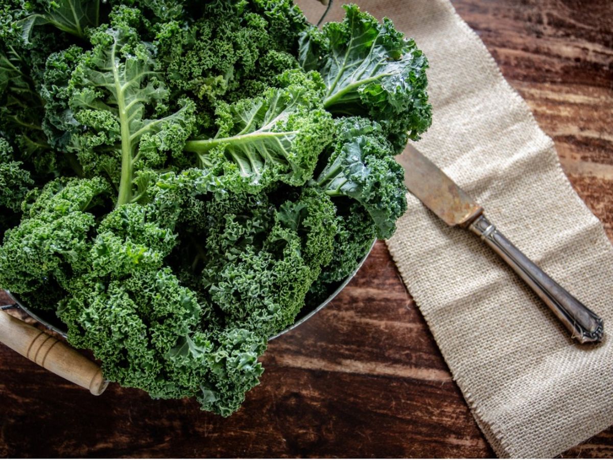 Using Kale After Harvest: What To Do With Kale From The Garden ...