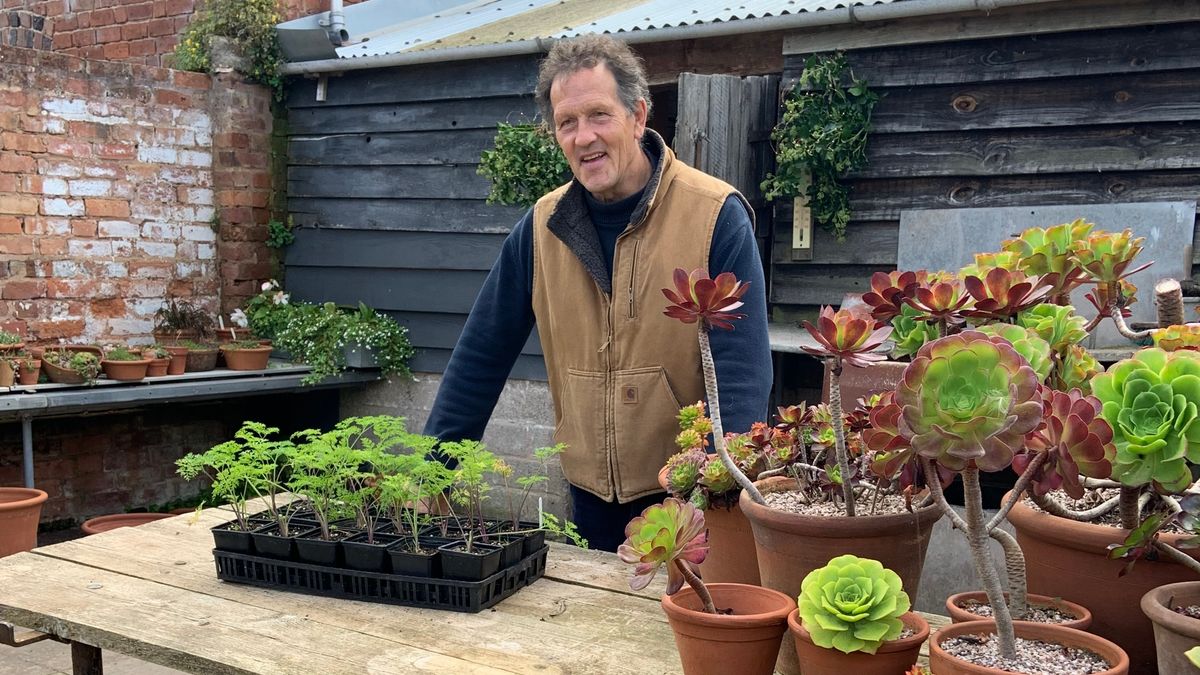 Monty Don planting flowers on Gardeners&#039; World 