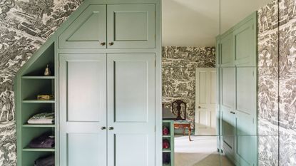 green closet in bedroom with large mirror