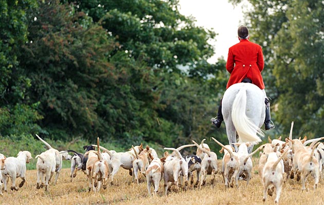 hunting act