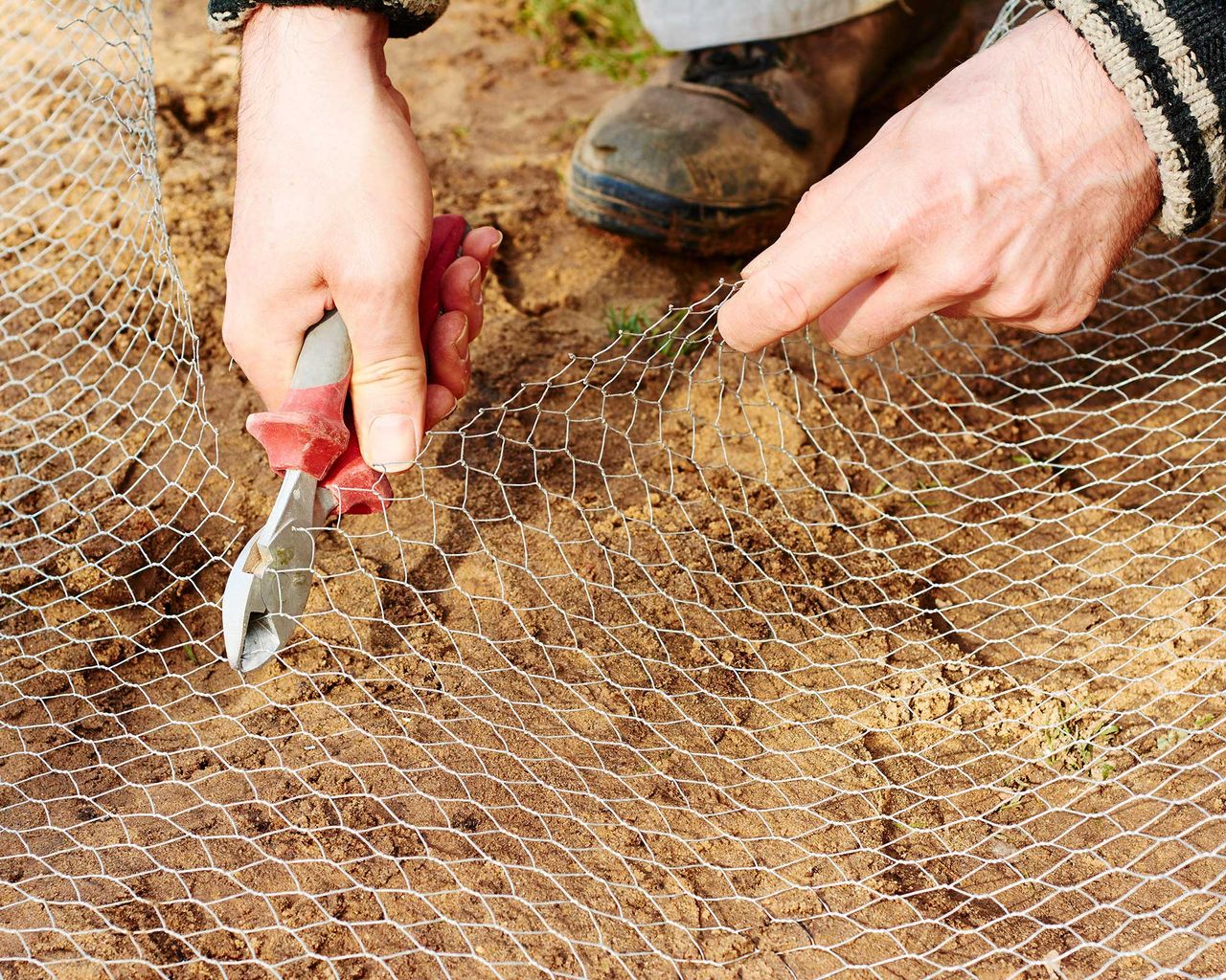 How To Keep Squirrels From Tearing Up Patio Furniture at Ann Jaime blog