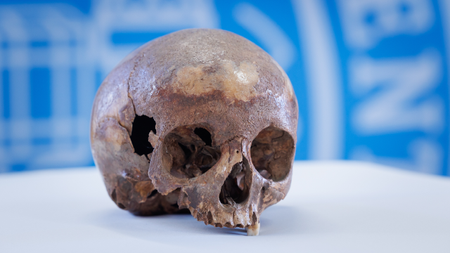 A small brown-tinged human skull sits on a white table with a blue-and-white seal in the background