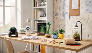 Desk accessories