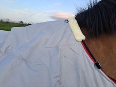 DefenceX waterproof fly rug wither