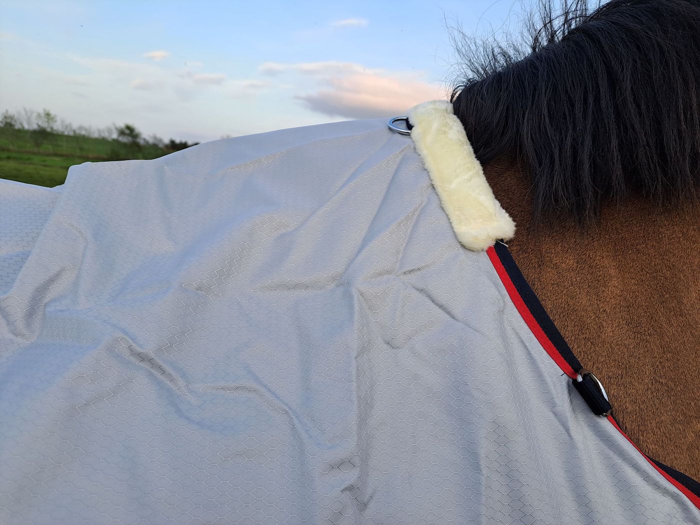 DefenceX waterproof fly rug wither