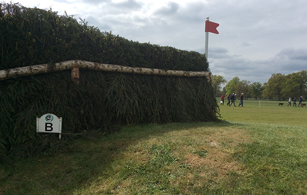 Badminton Fences 2017