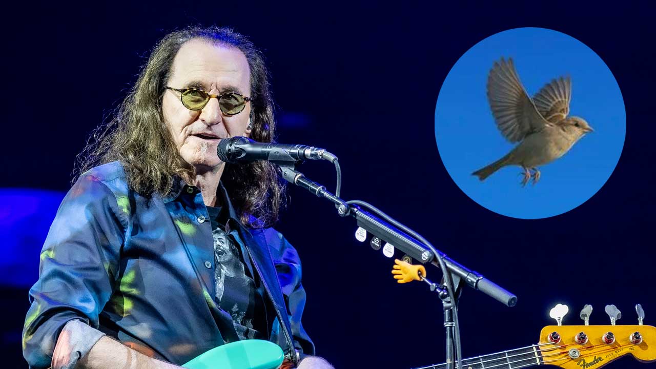 Geddy Lee onstage